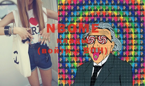хмурый Алексин