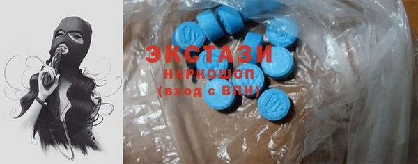 хмурый Алексин