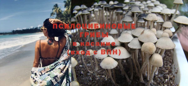 ALPHA PVP Алексеевка