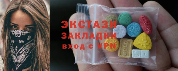 хмурый Алексин