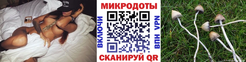 хочу наркоту  МЕГА ONION  Галлюциногенные грибы прущие грибы  Лесной 