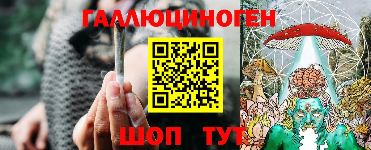 Псилоцибиновые грибы Magic Shrooms  Вход с VPN  Лесной  продажа наркотиков  Псилоцибиновые грибы мицелий 